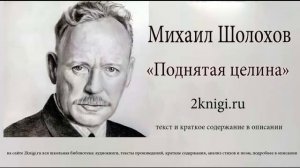 Михаил Шолохов "Поднятая целина" - аудиокнига Книга 1 главы 1-13
