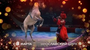 Балаган в Ярославском цирке