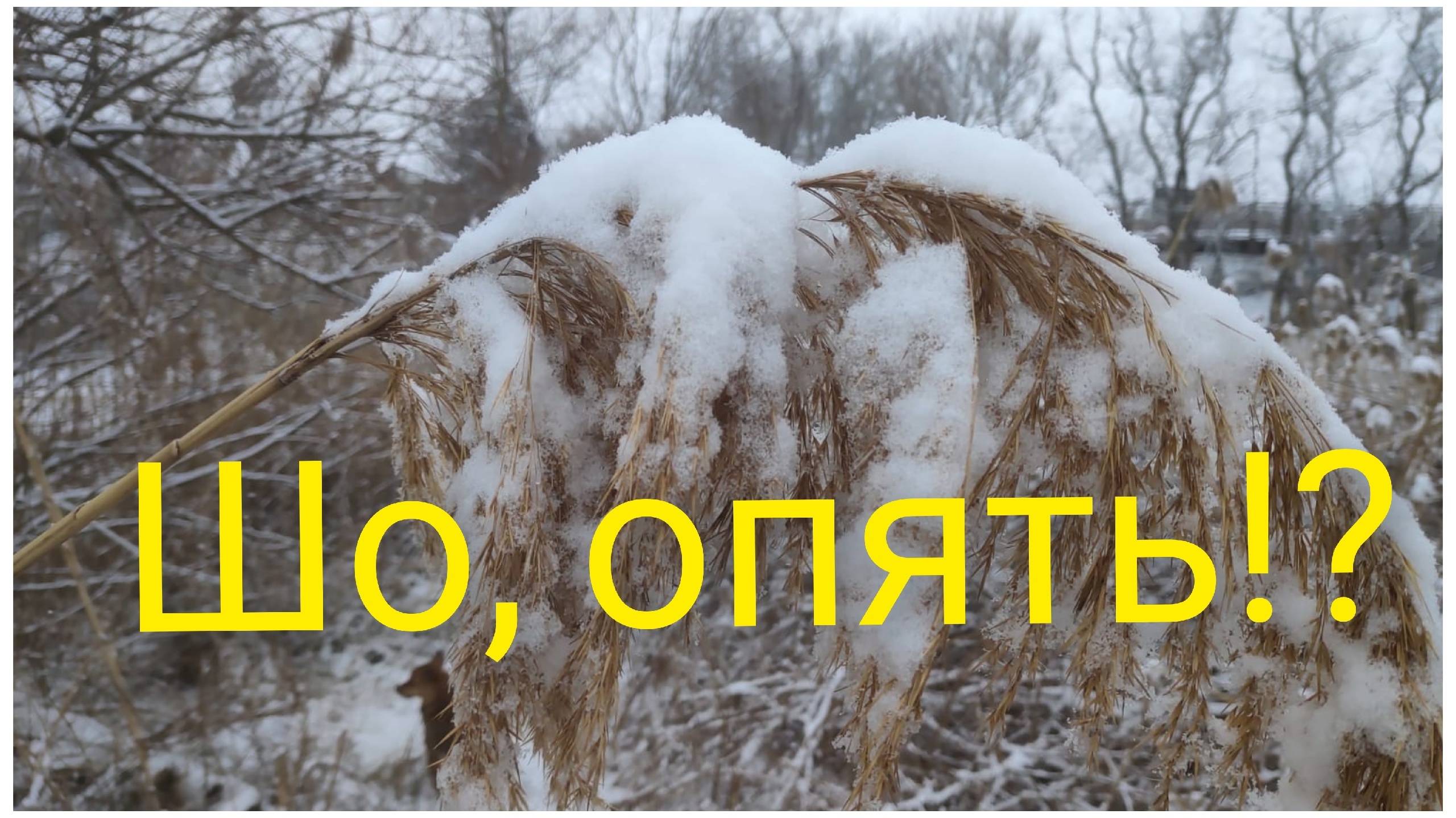 Вот те раз!Опять снег на Кубани.На Урале тепло. смотреть онлайн