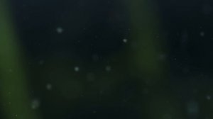 Зелёная планета 2 серия «Водные миры» (документальный сериал, 2022)