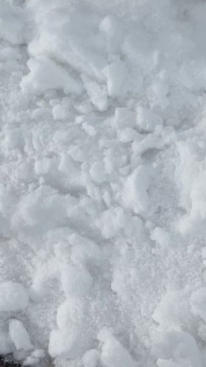 ИСПОЛЬЗУЕМ ЗИМУ ПО МАКСИМУМУ! Лайфхак для садоводов