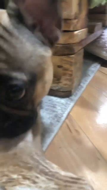 Зовут по англ бэй По русскому закат смотреть онлайн