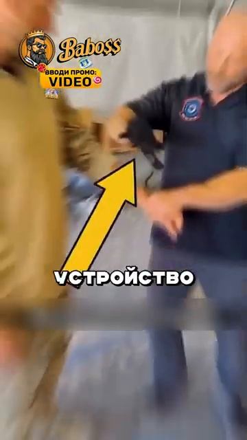 Спецперчатки для телохранителей смотреть онлайн