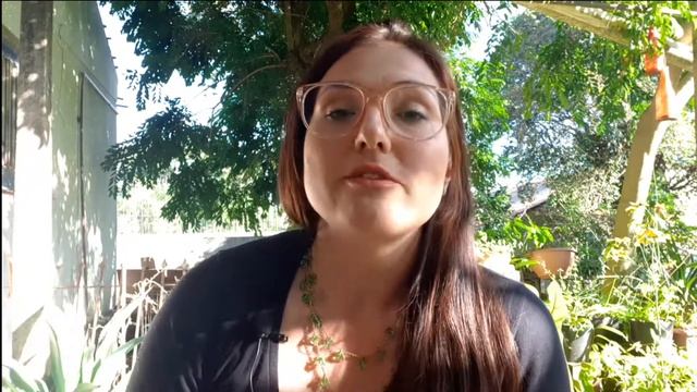 Como usar e como plantar | MAÇÃ DE ELEFANTE, DILLENIA INDICA, ÁRVORE DO DINHEIRO, FRUTA COFRE смотреть онлайн