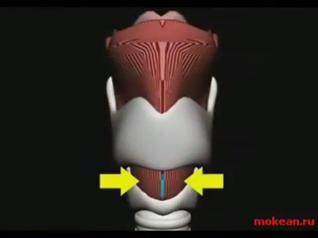 Крикотиреотомия