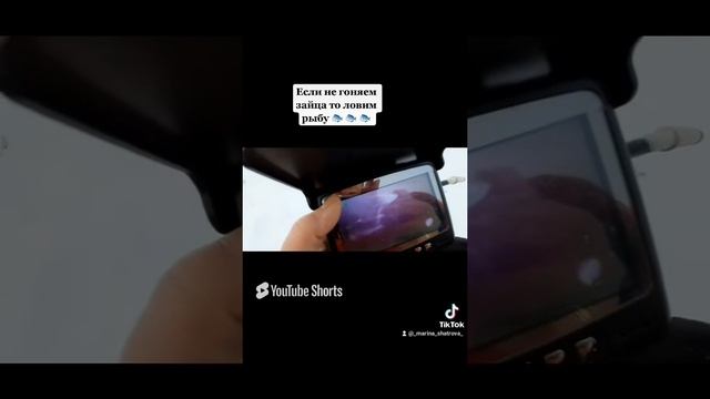 Если не гоняем зайца то ловим рыбу 🐟 🐟 🐟. #рыбалка #fishing #щука#охотасгончей#топ #hunting #tro смотреть онлайн