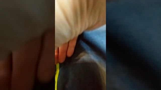куртка для мальчика зимняя смотреть онлайн