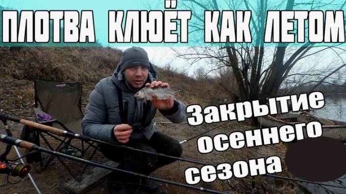 Плотва клюёт как летом. Отличное закрытие осеннего сезона. Рыбалка на фидер поздней осенью смотреть онлайн