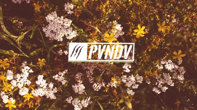 Celia Cruz - Carnaval (Made By Angel Remix) смотреть онлайн