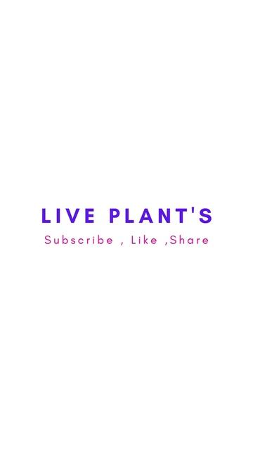 #Shorts Ganesh Vel | Vines | Lata смотреть онлайн
