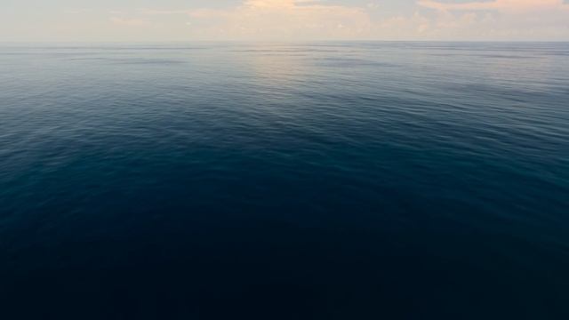 BBC: Планета Земля III 2 серия «Океан» (документальный сериал, 2023) смотреть онлайн