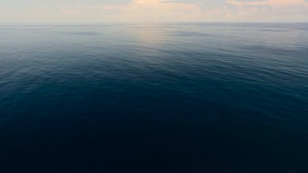 BBC: Планета Земля III 2 серия «Океан» (документальный сериал, 2023)