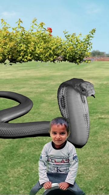 Big Black snake behind the boy || snake video смотреть онлайн