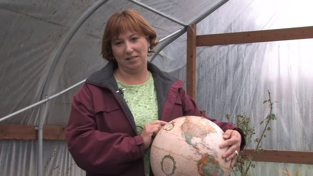 Tree & Plant Care : How to Care for Olive Trees смотреть онлайн