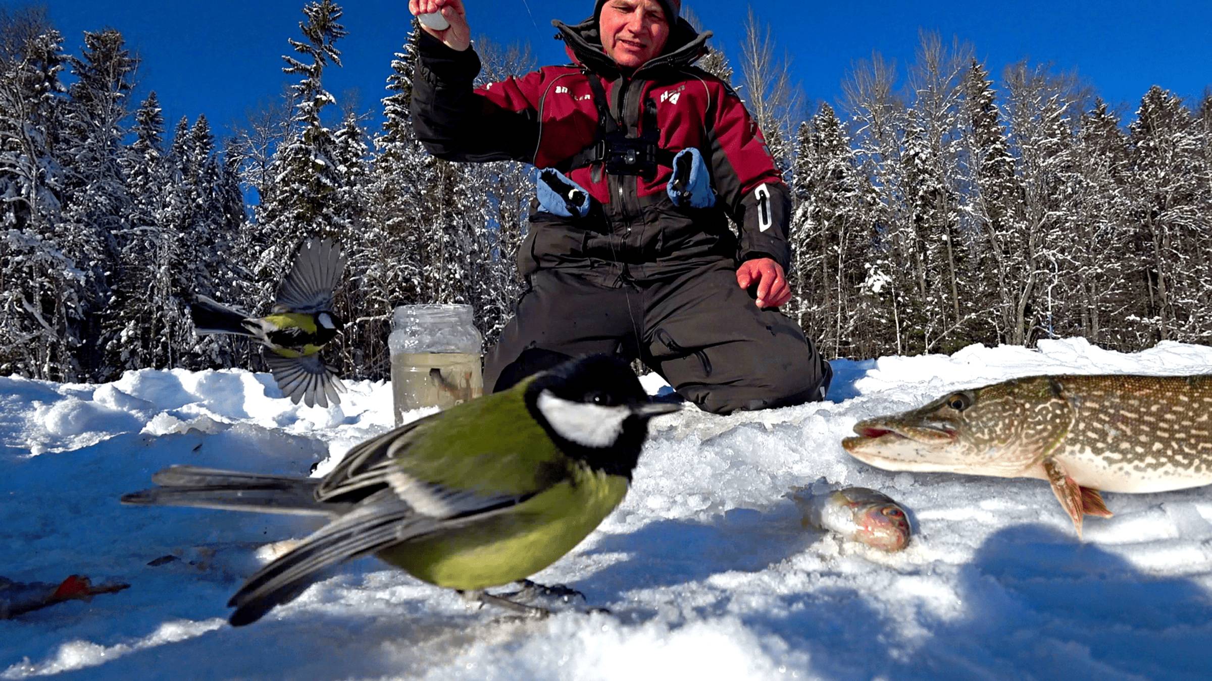 Два дня один на таёжном озере. Рыбалка на жерлицы и мормышку 2025. Подводная съёмка смотреть онлайн