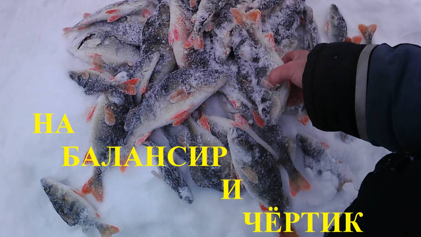 Ловля окуня на балансир и чёртик смотреть онлайн