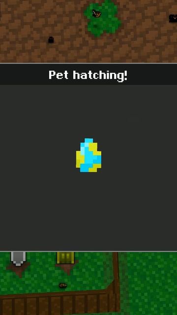 Common Mystery Egg-Black Cat