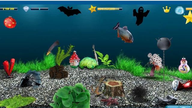 Моим Аквариумам 217 дней смотреть онлайн