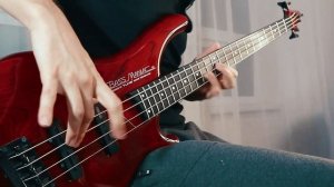 RED HOT CHILI PEPPERS - Around the World [Bass Cover]