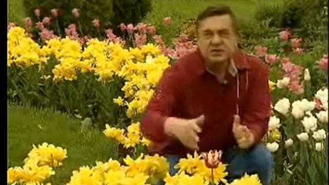 sc143 14663 5 смотреть онлайн