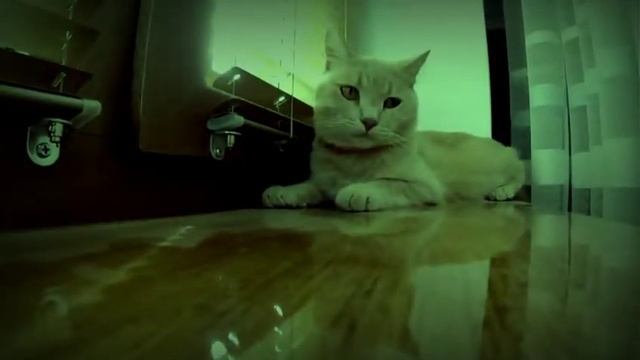 ДИСКОТЕКА смотреть онлайн