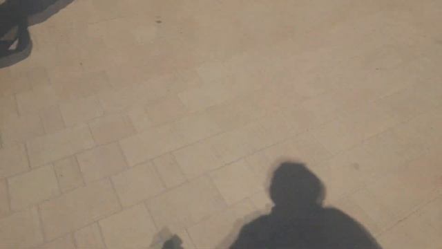 Экскурсия в Тулу