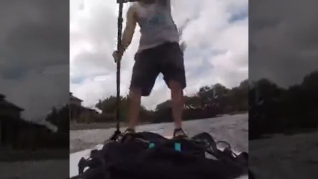 Paddleboarding with alligators. смотреть онлайн
