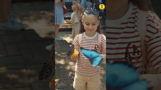 Gradina de fluturasi BEFLY GARDEN 🦋 В мире крылатой экзотики 🦋 смотреть онлайн
