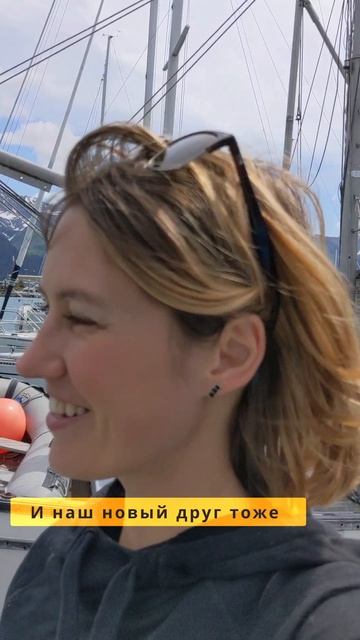 Необычный гость на завтрак! смотреть онлайн