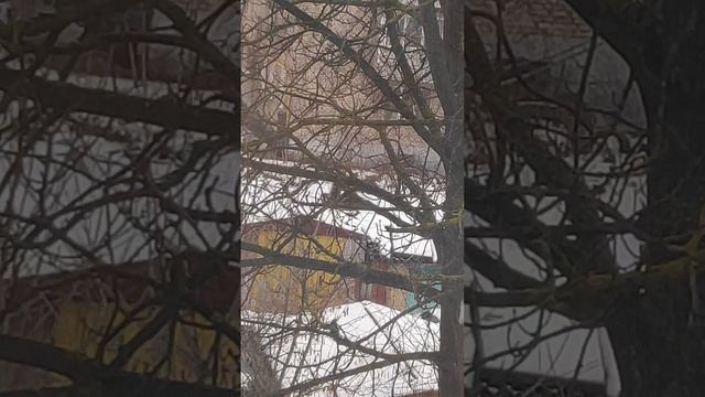 это что? смотреть онлайн