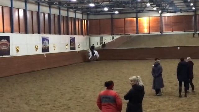 Не вышла рысь по диагонали смотреть онлайн