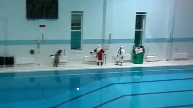 елка в бассейне 2013 0001 смотреть онлайн