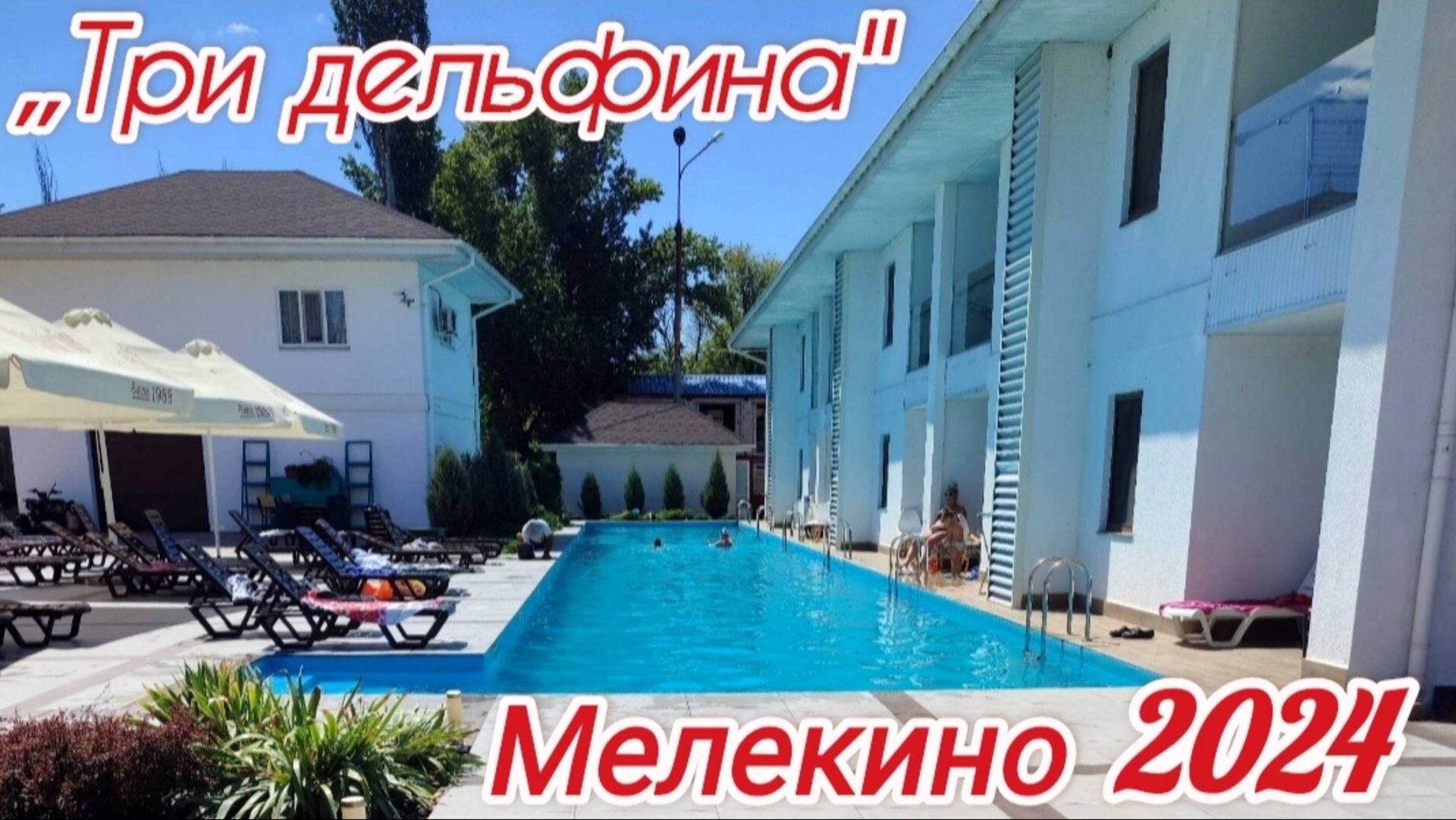 Мелекино 2024 База отдыха ,,Три дельфина'' смотреть онлайн
