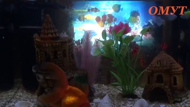 327. МЫ НЕ СВЯТЫЕ ... смотреть онлайн