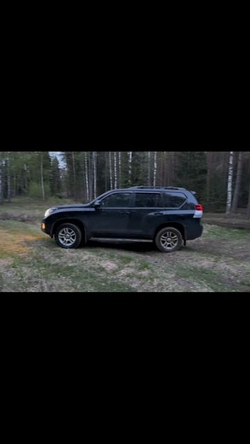 Майский выезд на природу