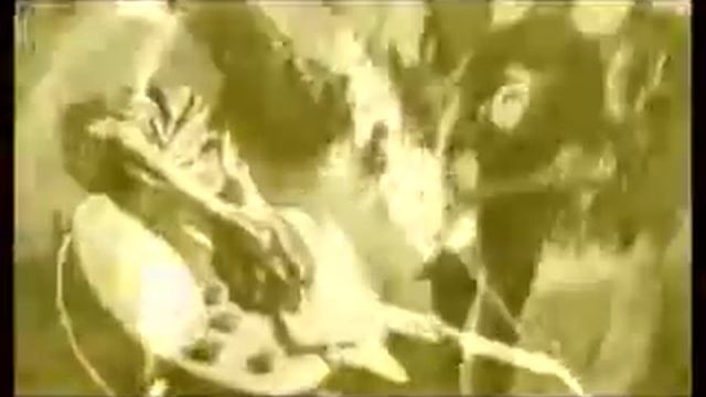 GENK KOBRA ning nong ning gung смотреть онлайн