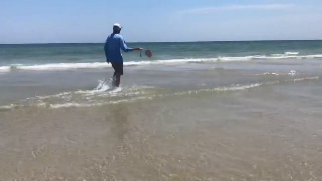 How to unhook a sting ray смотреть онлайн