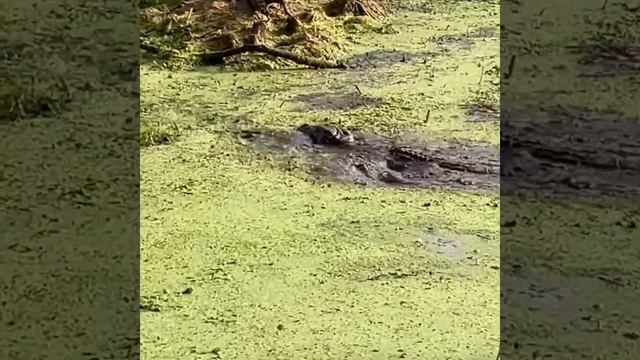 June 2, 2022 смотреть онлайн