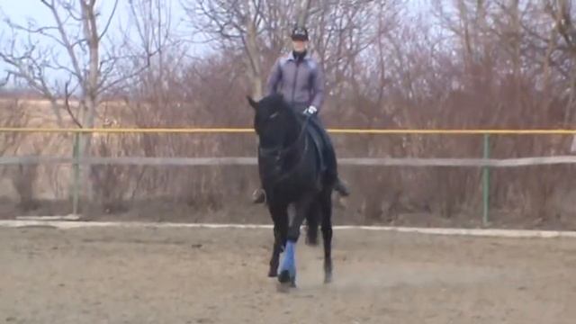 принимания смотреть онлайн