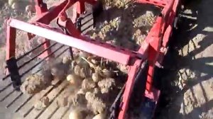 Картофелекопалка для Минитрактора МТЗ 132