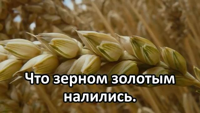 Я б хотела б молиться ¦ Караоке с голосом ¦ Христианские песни ¦ Гимны надежды ¦ Песни АСД смотреть онлайн