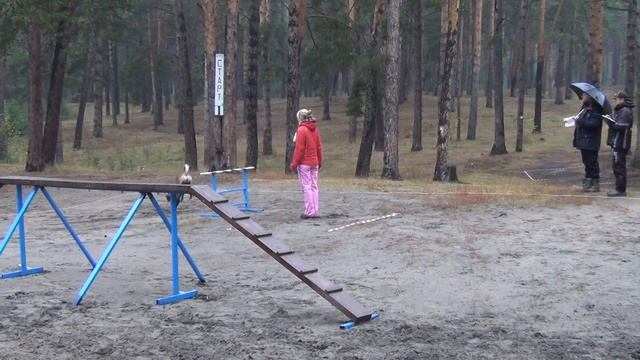 Открытый Чемпионат Алтайского края по ОКД, ЗКС (ОКД+ЗКС), ОКД(мини)2 смотреть онлайн