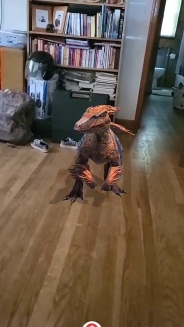 Real life Pyroraptor смотреть онлайн