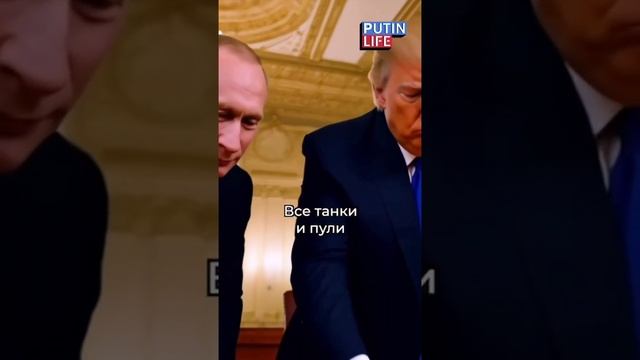Сидим с бобром за столом.mp4 смотреть онлайн