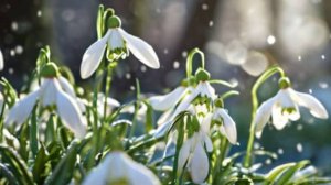 Открытки Добрый День! ☕ Доброго Дня Отличного Настроения!