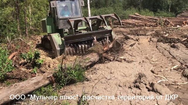 Мульчирование пней смотреть онлайн