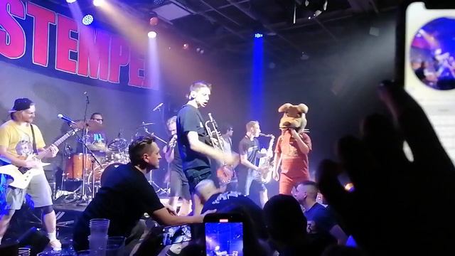 Distemper/Тайна