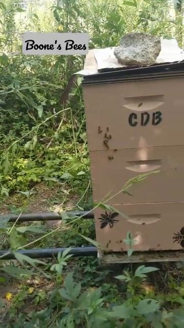 keepers cut смотреть онлайн