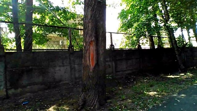 Балашиха. Центральный парк. Уничтожение. 21 августа 2017г. смотреть онлайн