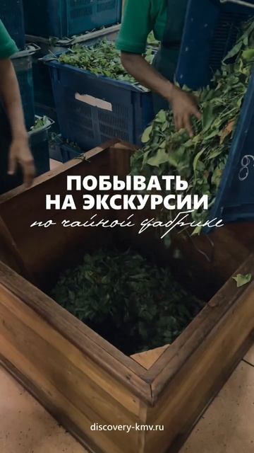 Как провести время на Шри-Ланке